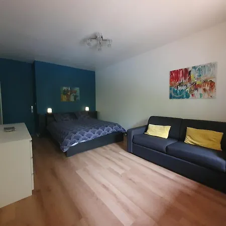 220m2 15p Avec Sauna, Hyper Center Luchon Διαμέρισμα